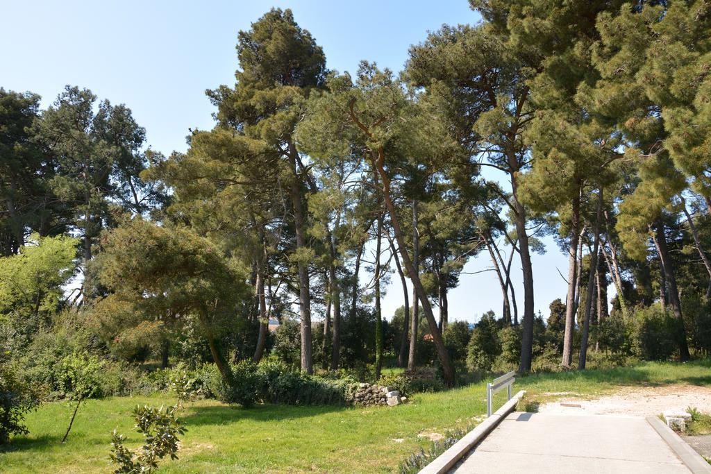 Apartment Manto Free Parking Rovinj Exterior photo
